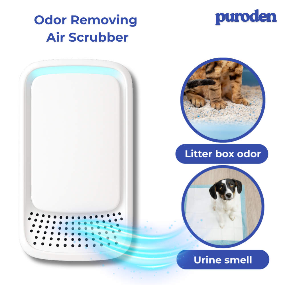 Negative Ion Air Purifier